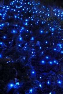 �e���V����