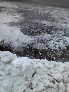 ���g��������