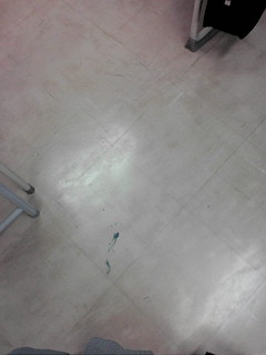 �J�T�C����