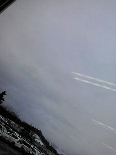 �p����������