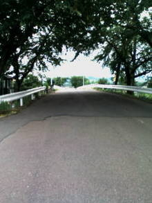 �M����