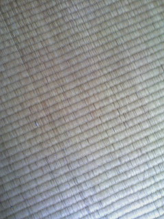 �s�M��
