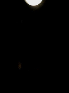 ��ׂ��I