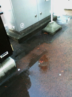 ���c