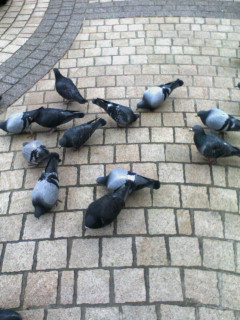 ����