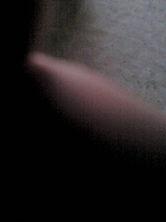 ���p�ȃ����o�[��