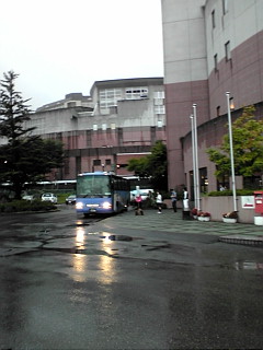 ���΂炶��[�I